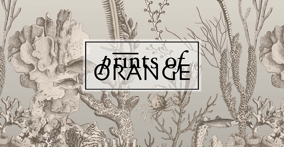 Prints of Orange